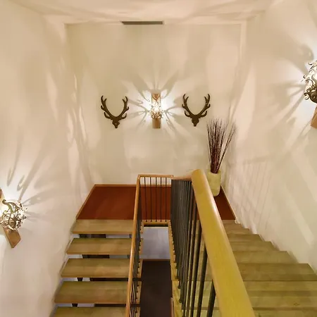 Hotel Piz 3*